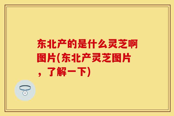 东北产的是什么灵芝啊图片(东北产灵芝图片，了解一下)