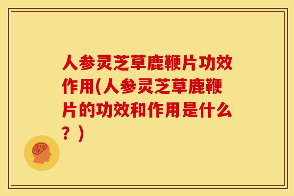 人参灵芝草鹿鞭片功效作用(人参灵芝草鹿鞭片的功效和作用是什么？)