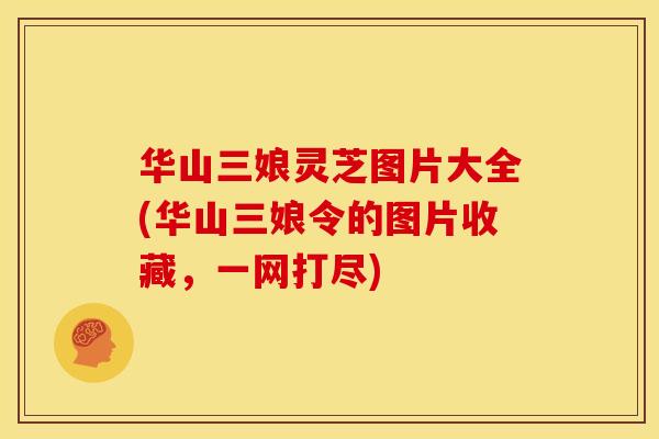 华山三娘灵芝图片大全(华山三娘令的图片收藏，一网打尽)