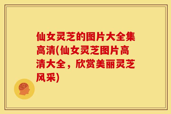 仙女灵芝的图片大全集高清(仙女灵芝图片高清大全，欣赏美丽灵芝风采)