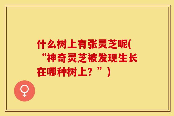 什么树上有张灵芝呢(“神奇灵芝被发现生长在哪种树上？”)