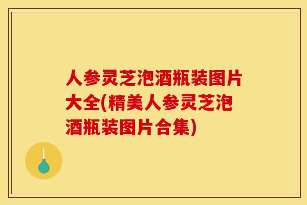人参灵芝泡酒瓶装图片大全(精美人参灵芝泡酒瓶装图片合集)