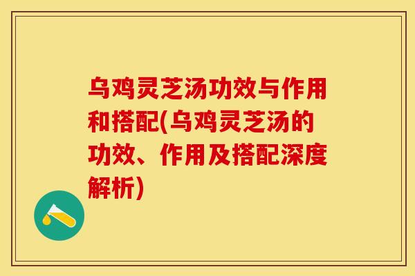 乌鸡灵芝汤功效与作用和搭配(乌鸡灵芝汤的功效、作用及搭配深度解析)
