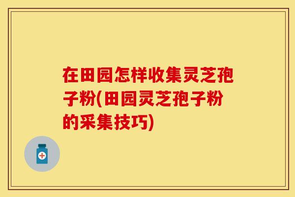 在田园怎样收集灵芝孢子粉(田园灵芝孢子粉的采集技巧)