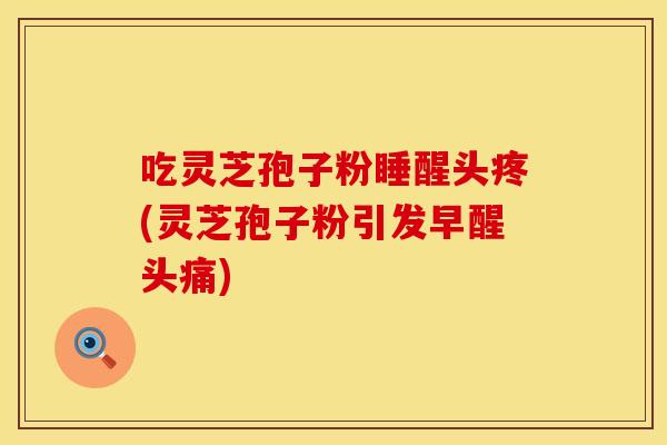 吃灵芝孢子粉睡醒头疼(灵芝孢子粉引发早醒头痛)