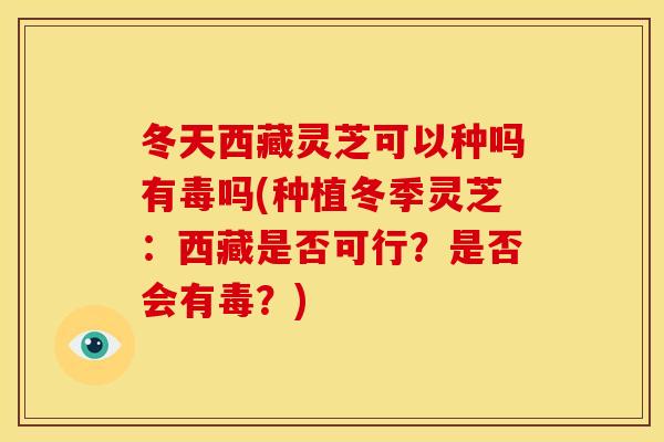 冬天西藏灵芝可以种吗有毒吗(种植冬季灵芝：西藏是否可行？是否会有毒？)