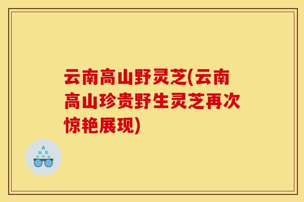 云南高山野灵芝(云南高山珍贵野生灵芝再次惊艳展现)
