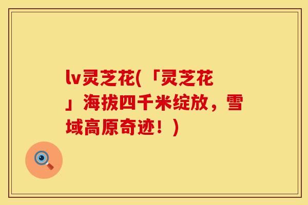 lv灵芝花(「灵芝花」海拔四千米绽放，雪域高原奇迹！)