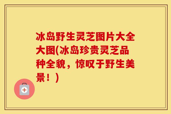 冰岛野生灵芝图片大全大图(冰岛珍贵灵芝品种全貌，惊叹于野生美景！)