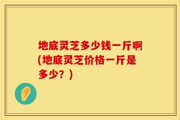 地底灵芝多少钱一斤啊(地底灵芝价格一斤是多少？)