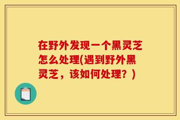 在野外发现一个黑灵芝怎么处理(遇到野外黑灵芝,该如何处理?) 在野外发现一个黑灵芝怎么处理(遇到野外黑灵芝,该如何处理?)