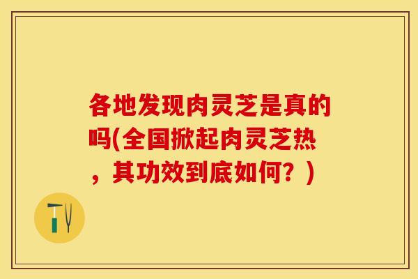 各地发现肉灵芝是真的吗(全国掀起肉灵芝热，其功效到底如何？)