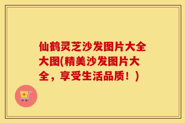 仙鹤灵芝沙发图片大全大图(精美沙发图片大全，享受生活品质！)