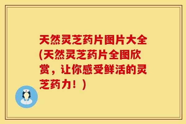 天然灵芝药片图片大全(天然灵芝药片全图欣赏，让你感受鲜活的灵芝药力！)