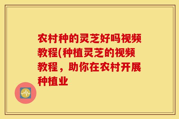农村种的灵芝好吗视频教程(种植灵芝的视频教程，助你在农村开展种植业