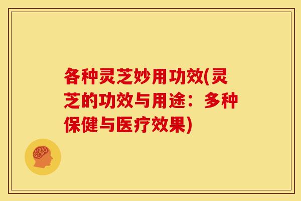 各种灵芝妙用功效(灵芝的功效与用途：多种保健与医疗效果)