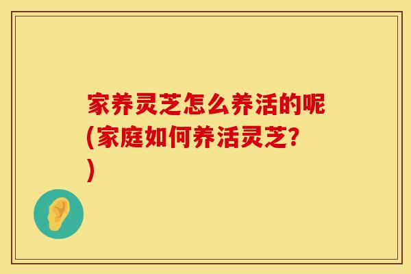 家养灵芝怎么养活的呢(家庭如何养活灵芝？)