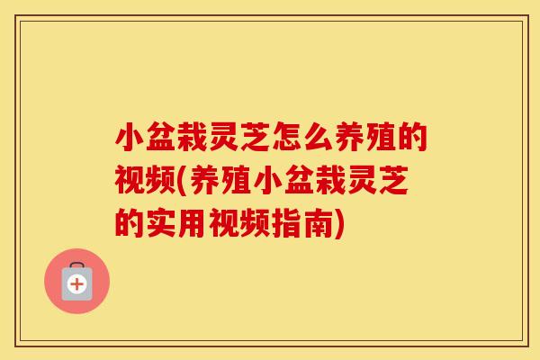小盆栽灵芝怎么养殖的视频(养殖小盆栽灵芝的实用视频指南)