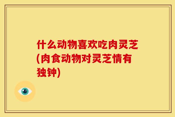 什么动物喜欢吃肉灵芝(肉食动物对灵芝情有独钟)