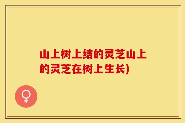 山上树上结的灵芝山上的灵芝在树上生长)