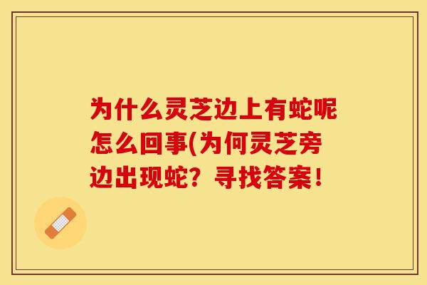 为什么灵芝边上有蛇呢怎么回事(为何灵芝旁边出现蛇？寻找答案！