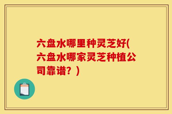 六盘水哪里种灵芝好(六盘水哪家灵芝种植公司靠谱？)