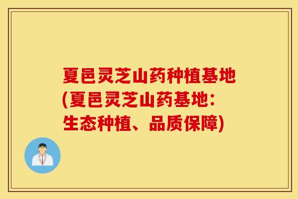 夏邑灵芝山药种植基地(夏邑灵芝山药基地：生态种植、品质保障)