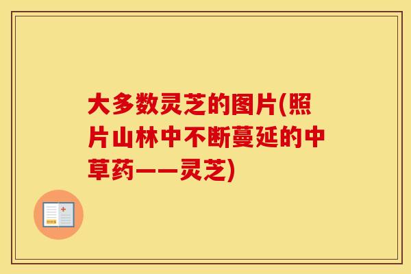大多数灵芝的图片(照片山林中不断蔓延的中草药——灵芝)