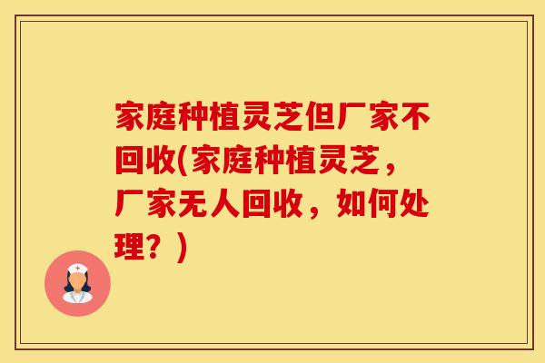 家庭种植灵芝但厂家不回收(家庭种植灵芝，厂家无人回收，如何处理？)