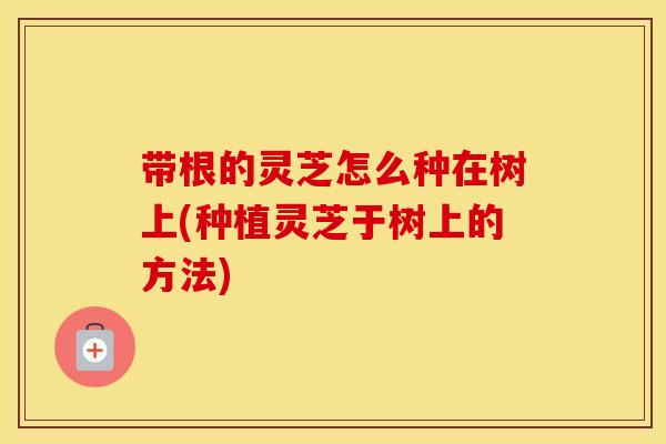 带根的灵芝怎么种在树上(种植灵芝于树上的方法)