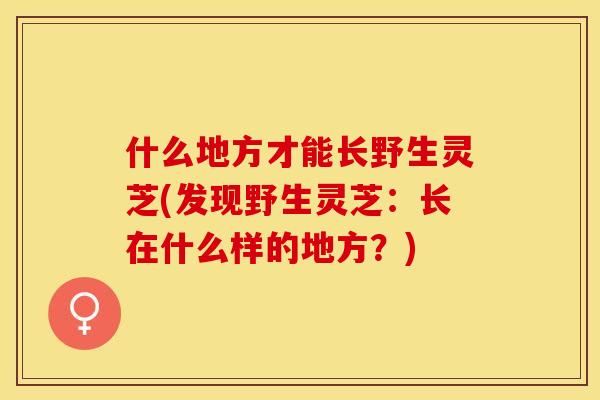 什么地方才能长野生灵芝(发现野生灵芝:长在什么样的地方?) 什么地方才能长野生灵芝(发现野生灵芝:长在什么样的地方?)