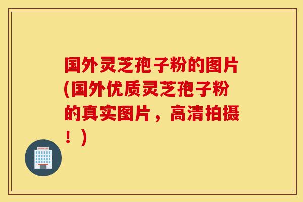 国外灵芝孢子粉的图片(国外优质灵芝孢子粉的真实图片，高清拍摄！)