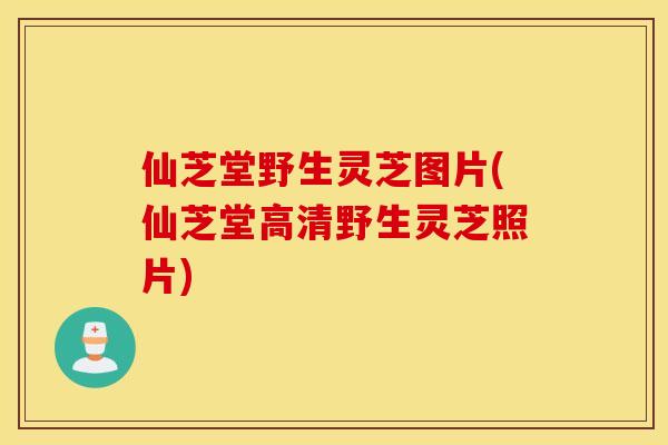 仙芝堂野生灵芝图片(仙芝堂高清野生灵芝照片)