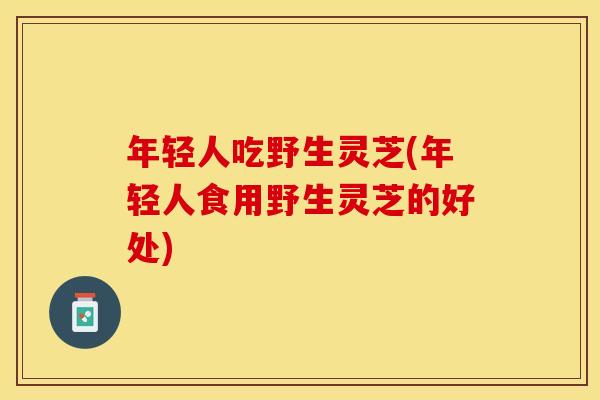 年轻人吃野生灵芝(年轻人食用野生灵芝的好处)