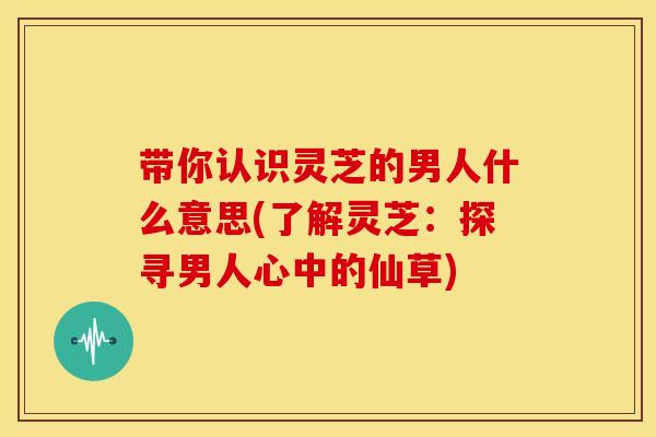 带你认识灵芝的男人什么意思(了解灵芝：探寻男人心中的仙草)