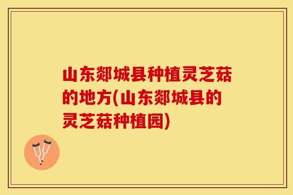 山东郯城县种植灵芝菇的地方(山东郯城县的灵芝菇种植园)