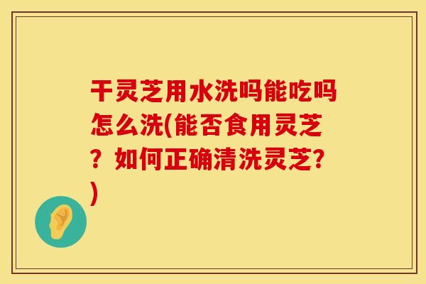 干灵芝用水洗吗能吃吗怎么洗(能否食用灵芝？如何正确清洗灵芝？)