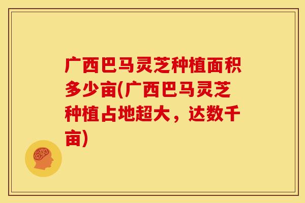 广西巴马灵芝种植面积多少亩(广西巴马灵芝种植占地超大，达数千亩)