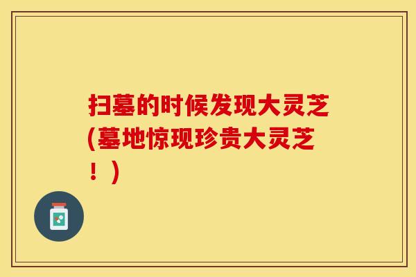 扫墓的时候发现大灵芝(墓地惊现珍贵大灵芝！)