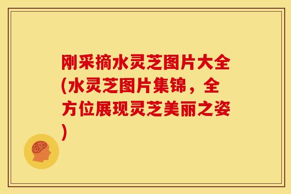 刚采摘水灵芝图片大全(水灵芝图片集锦，全方位展现灵芝美丽之姿)