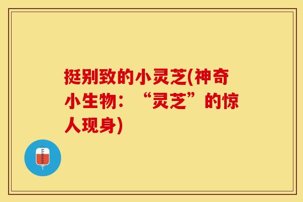 挺别致的小灵芝(神奇小生物：“灵芝”的惊人现身)