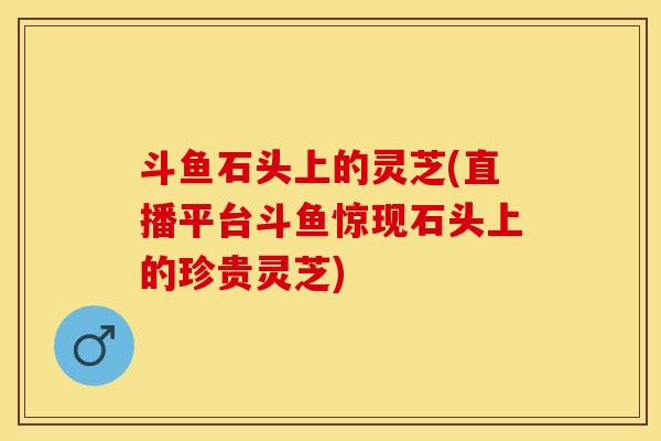 斗鱼石头上的灵芝(直播平台斗鱼惊现石头上的珍贵灵芝)
