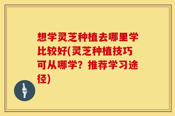 想学灵芝种植去哪里学比较好(灵芝种植技巧可从哪学？推荐学习途径)