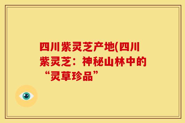 四川紫灵芝产地(四川紫灵芝：神秘山林中的“灵草珍品”