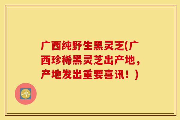 广西纯野生黑灵芝(广西珍稀黑灵芝出产地，产地发出重要喜讯！)