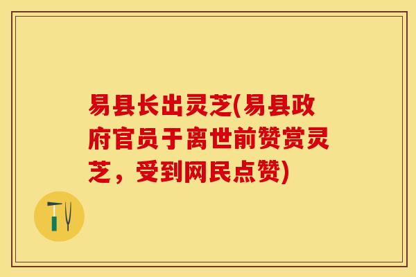易县长出灵芝(易县政府官员于离世前赞赏灵芝,受到网民点赞) 易县长出灵芝(易县政府官员于离世前赞赏灵芝,受到网民点赞)