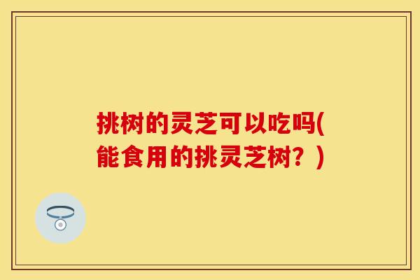 挑树的灵芝可以吃吗(能食用的挑灵芝树？)