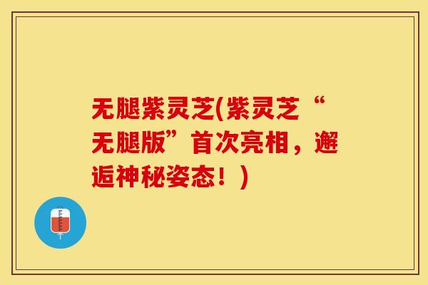 无腿紫灵芝(紫灵芝“无腿版”首次亮相，邂逅神秘姿态！)