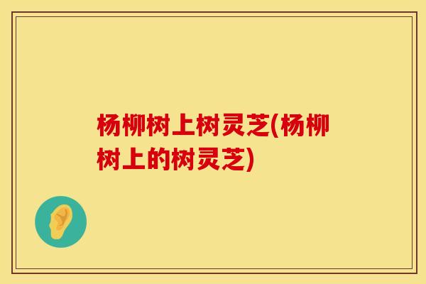 杨柳树上树灵芝(杨柳树上的树灵芝)
