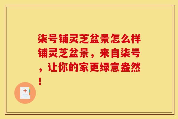 柒号铺灵芝盆景怎么样铺灵芝盆景，来自柒号，让你的家更绿意盎然！